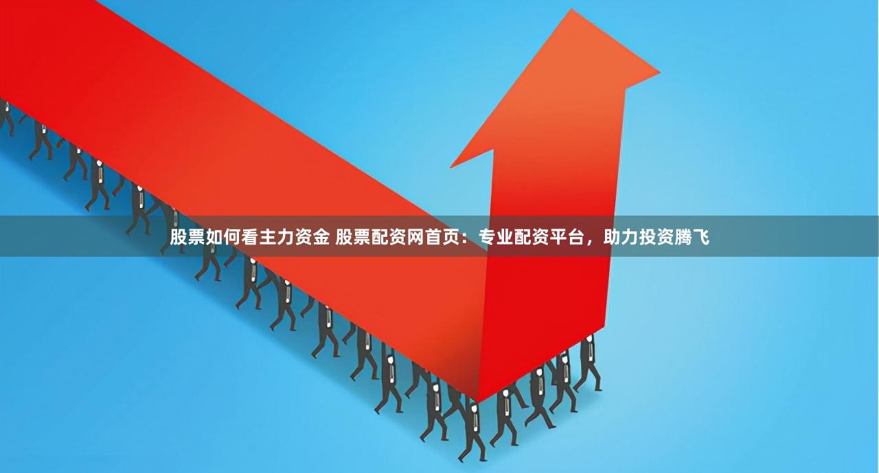 股票如何看主力资金 股票配资网首页：专业配资平台，助力投资腾飞